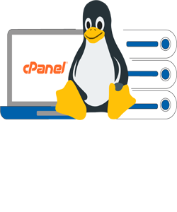 نمایندگی هاست لینوکس سی پنل